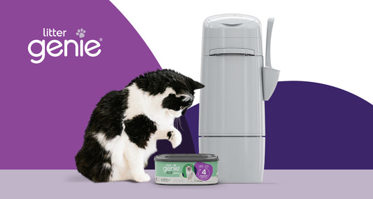 Litter Genie® Introduces New Jumbo Eco Refill